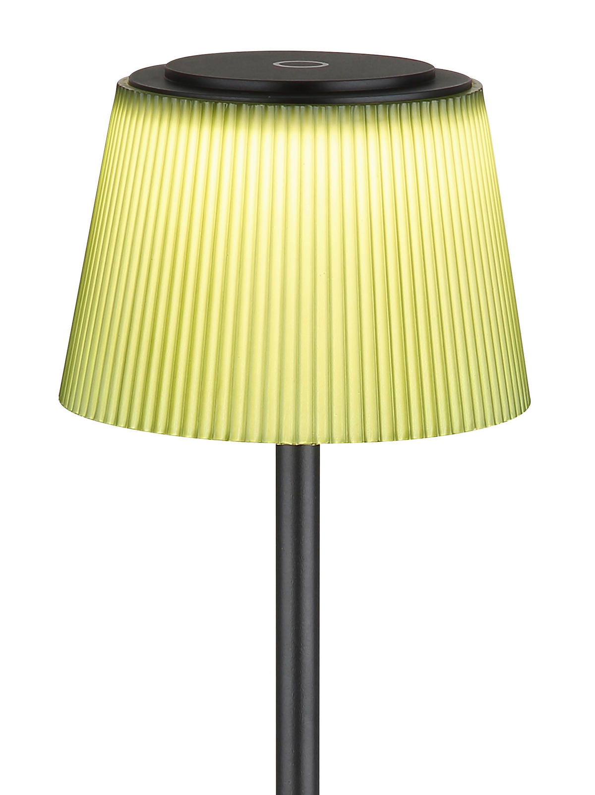 BREZŽIČNA STOJEČA SVETILKA     14/14/120 cm          - črna/temno zelena, Design, kovina/umetna masa (14/14/120cm) - Globo