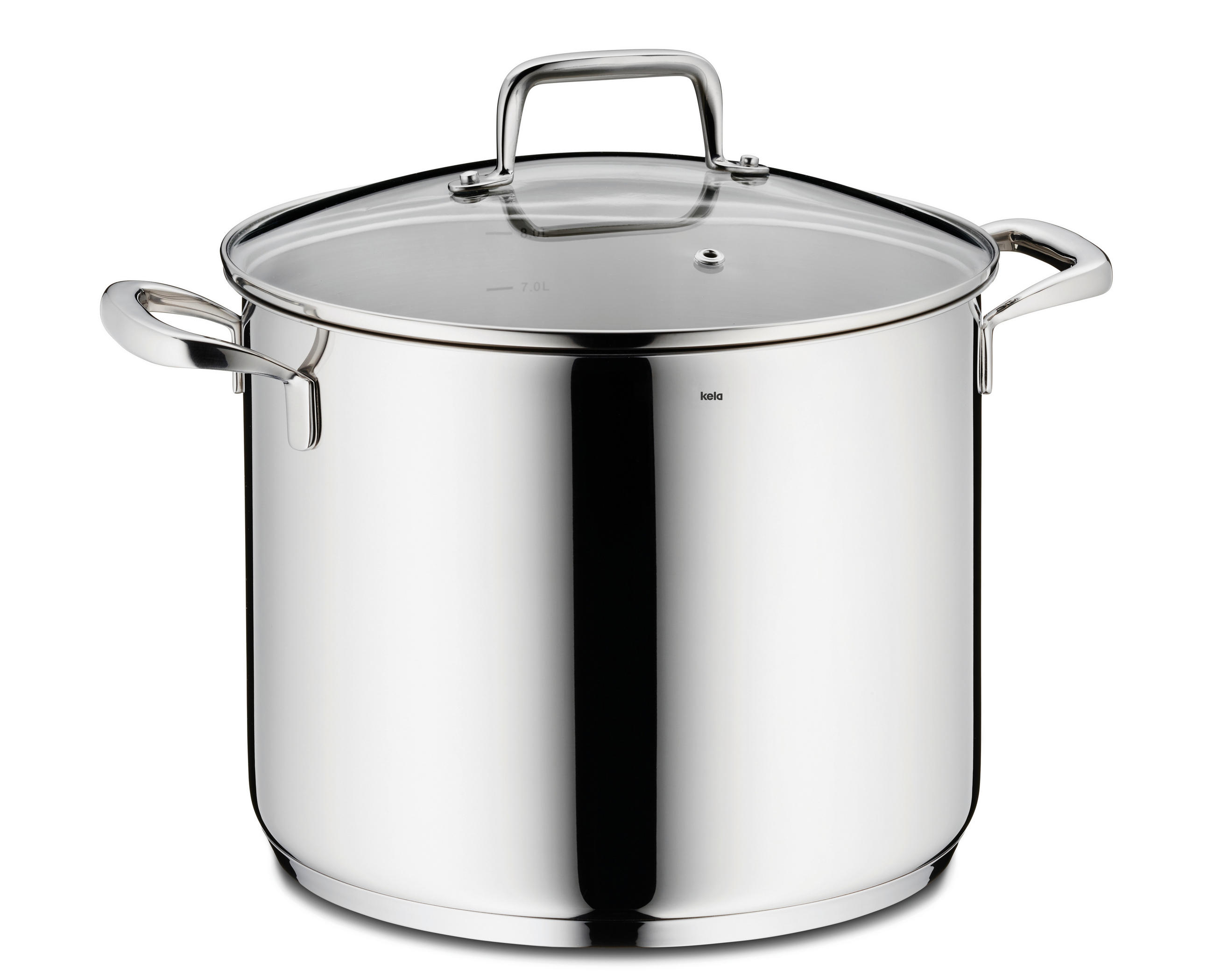 GEMÜSETOPF Flavoria 8 L  - Silberfarben, KONVENTIONELL, Glas/Metall (24/19,5cm) - Kela