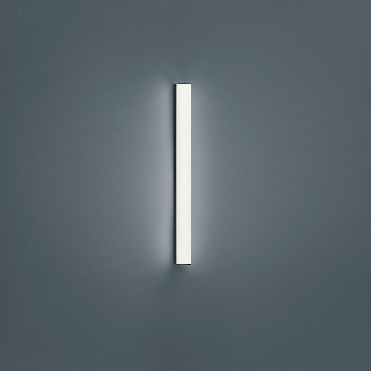 BADEZIMMER-WANDLEUCHTE - Schwarz, KONVENTIONELL, Kunststoff/Metall (6/4/60cm) - Helestra