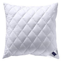 PÁRNA 40/50 cm   - Konventionell, textil (40/50cm) - Billerbeck