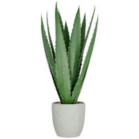 AGAVE Agave 80 cm  - Grün, Basics, Kunststoff (80cm)