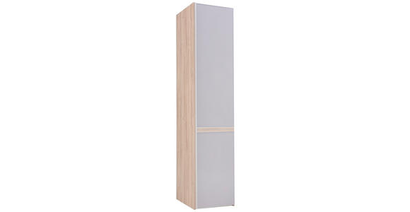 DREHTÜRENSCHRANK in Grau, Eichefarben - Eichefarben/Alufarben, KONVENTIONELL, Glas/Holzwerkstoff (51/240/63cm) - Moderano