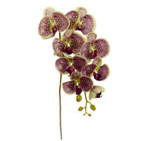ORCHIDEE  - Mauve, Basics, Textil (76cm)