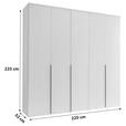 DREHTÜRENSCHRANK  in Graphitfarben  - Schwarz/Graphitfarben, MODERN, Holzwerkstoff/Kunststoff (225/225/52cm) - Carryhome