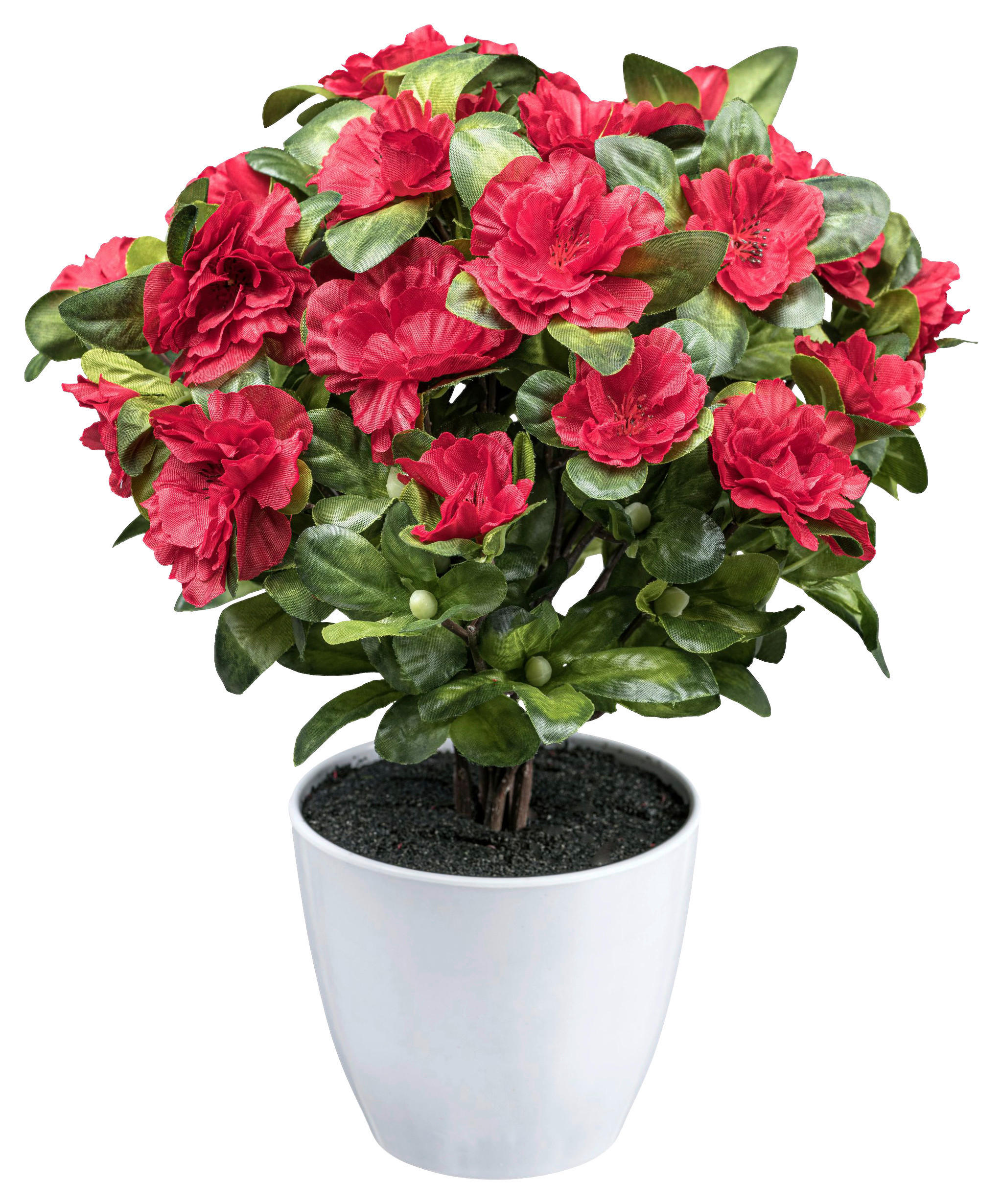 KUNSTPFLANZE 32 cm  - Rot/Weiß, Design, Kunststoff (32cm) - P & B