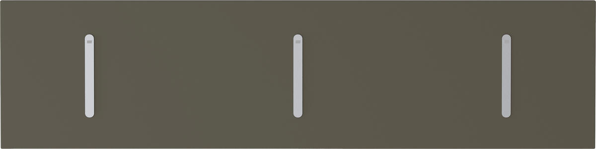 HAKENLEISTE  in Taupe  - Taupe, Design, Holzwerkstoff/Metall (100/25/3cm) - Moderano