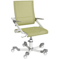 JUGENDDREHSTUHL Netzbespannung Silberfarben, Weiß, Hellgrün  - Silberfarben/Weiß, Basics, Kunststoff/Textil (54/86-100/54cm) - Paidi