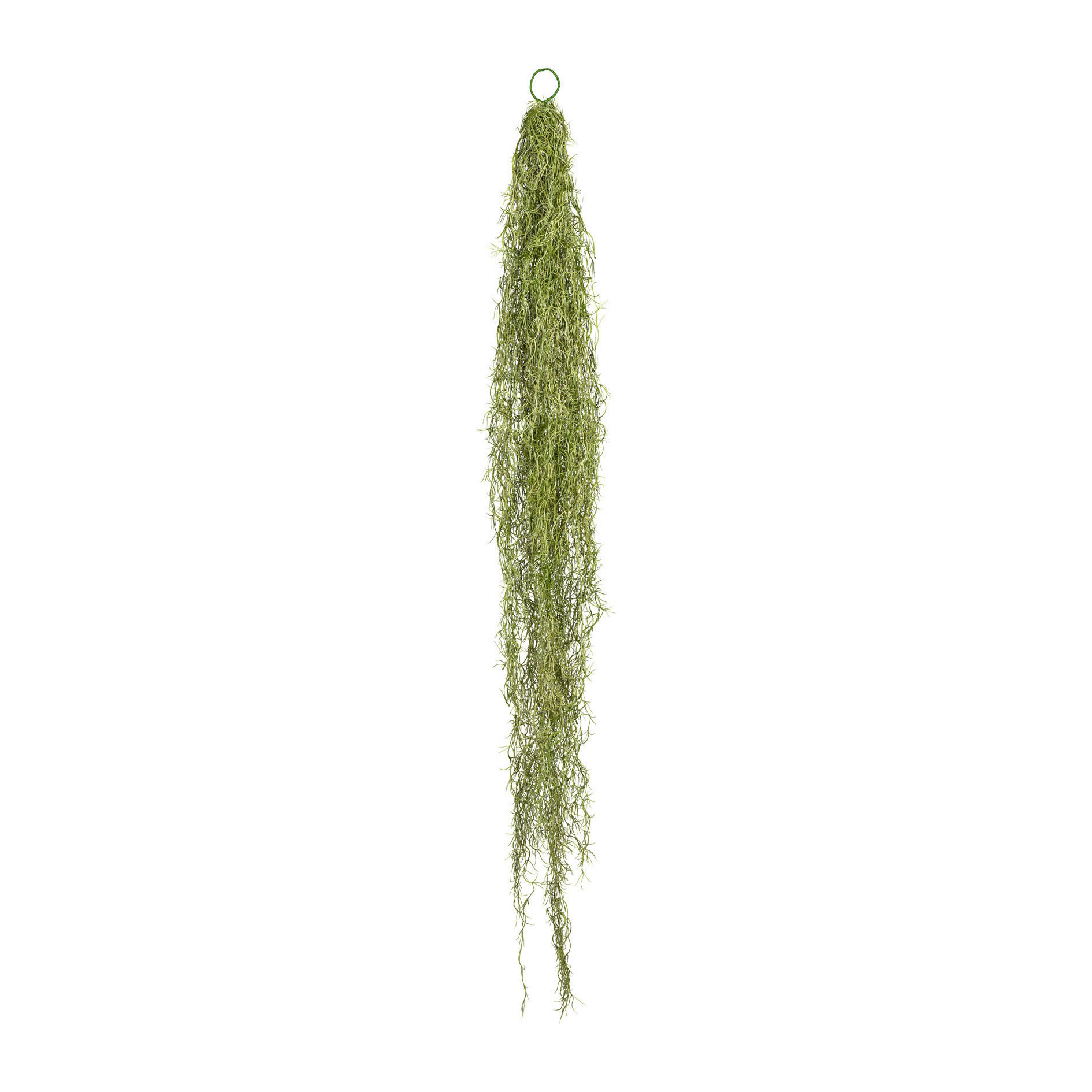 KUNSTPFLANZE Tillandsie  - Grün, Basics, Kunststoff (140cm) - P & B