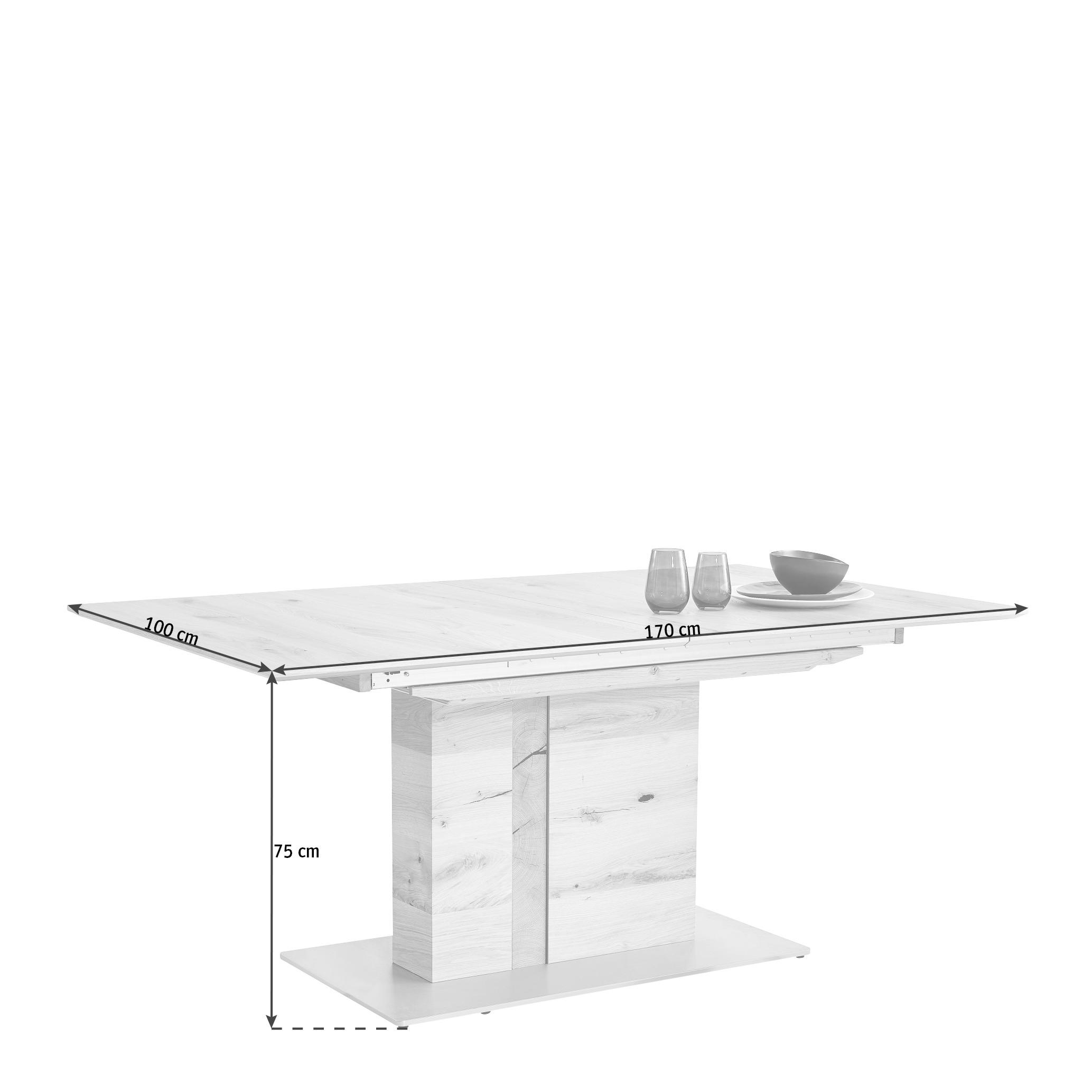 ESSTISCH Eiche furniert rechteckig Eichefarben, Edelstahlfarben  - Edelstahlfarben/Eichefarben, Design, Holz/Metall (170/100/75cm) - Venjakob