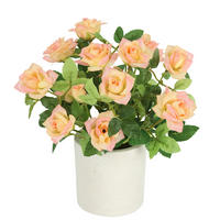 ROSENBUSCH  - Hellrosa, Basics (18/21cm)