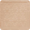 DUSCHEINLAGE - Beige, Basics, Kunststoff (55/55cm) - Grund