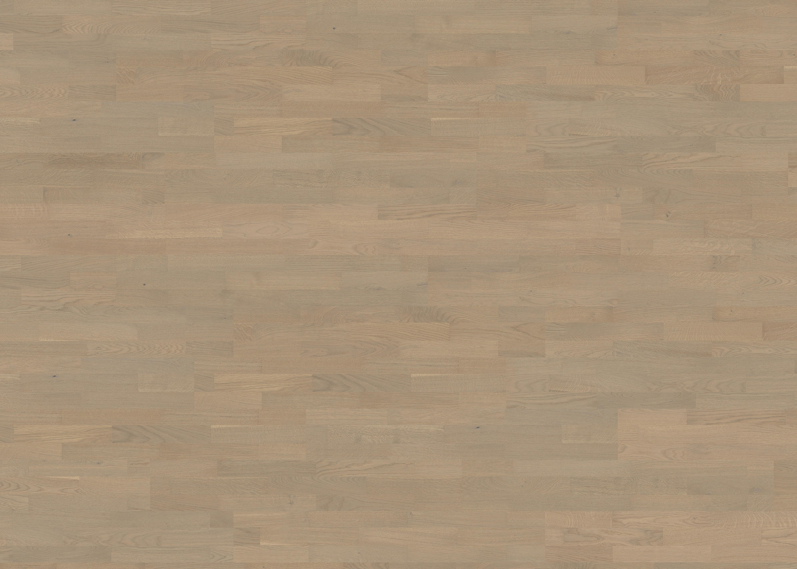 PARKETTBODEN Living by HARO PARKETT 2500 SB SL  per  m² - Hellgrau, Basics, Holzwerkstoff (18/108.5cm) - Living by HARO