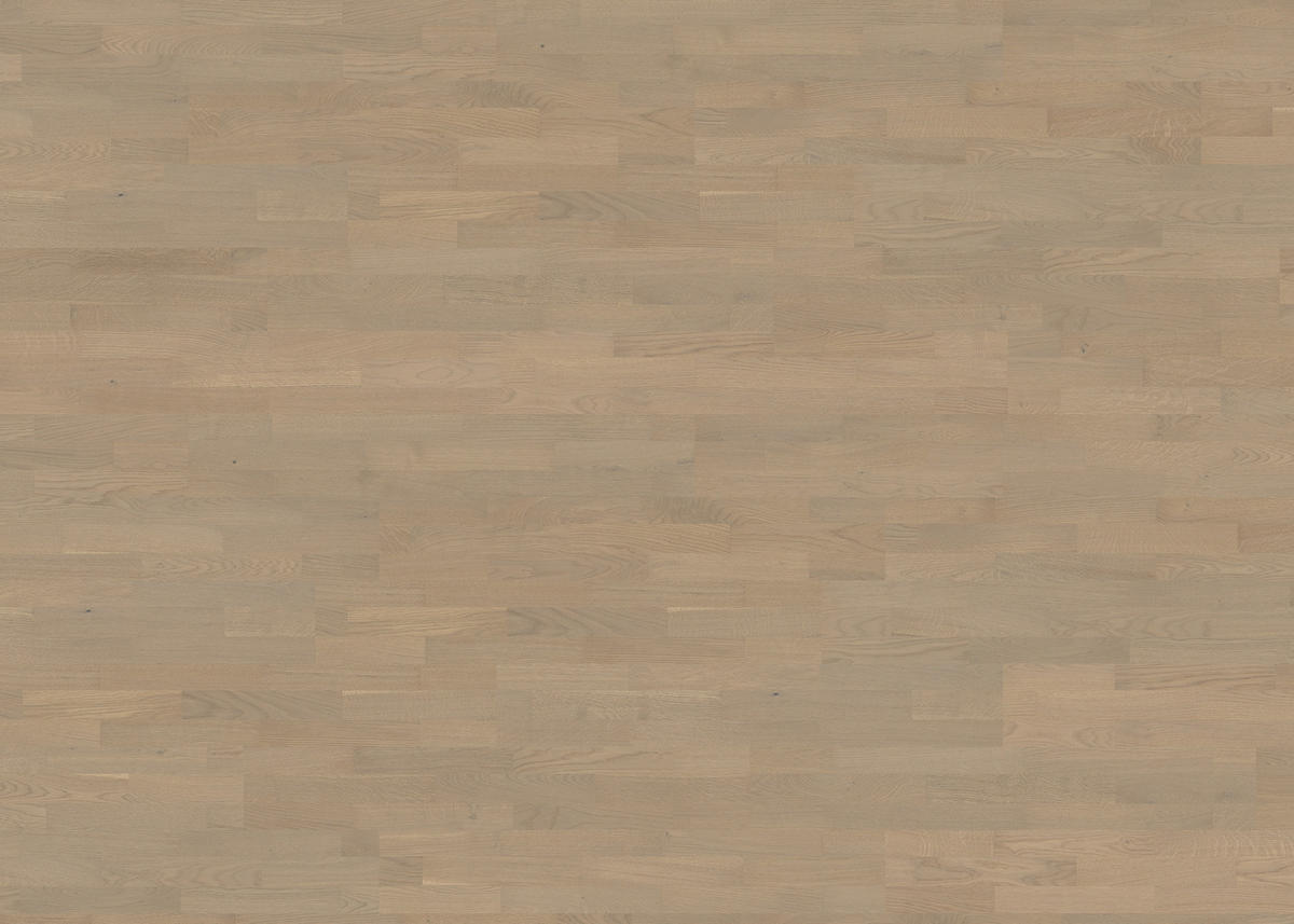 PARKETTBODEN Living by HARO PARKETT 2500 SB SL  per  m² - Hellgrau, Basics, Holzwerkstoff (18/108.5cm) - Living by HARO