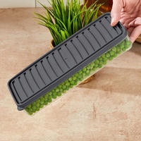 VORRATSDOSENSET 4-teilig  - Klar/Grau, Basics, Kunststoff (26.5/5/10,5cm)