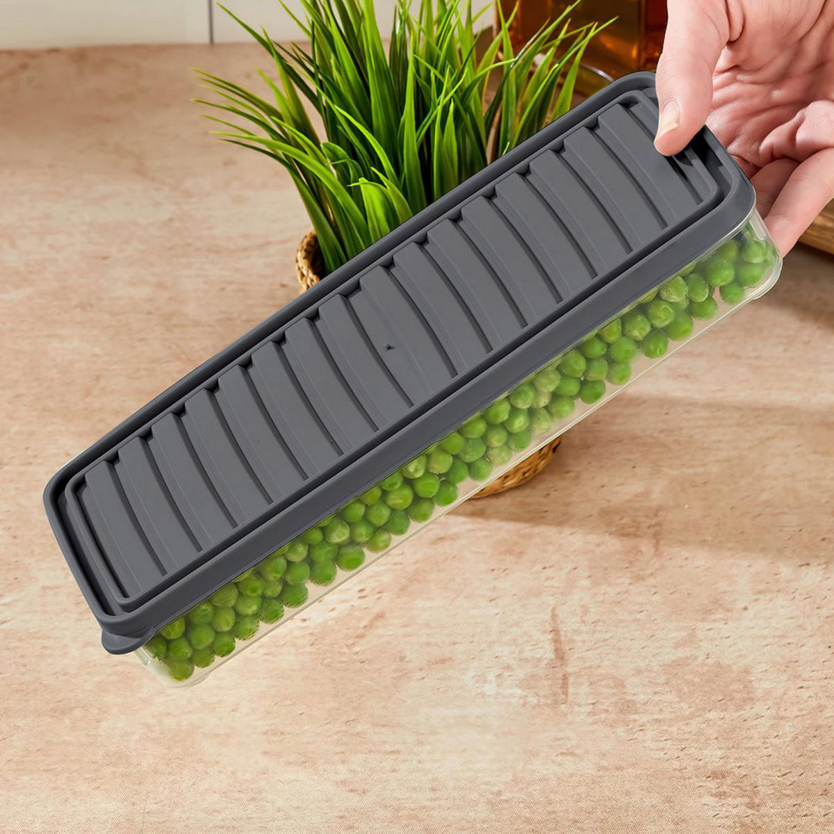 VORRATSDOSENSET 4-teilig  - Klar/Grau, Basics, Kunststoff (26.5/5/10,5cm)