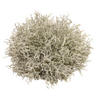 GRASKUGEL  - Basics (14cm)