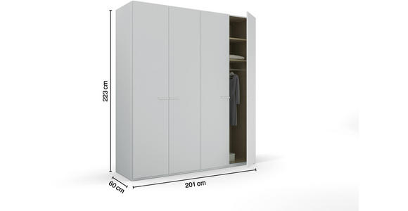 DREHTÜRENSCHRANK 201/223/60 cm 4-türig Hellgrau - Hellgrau, Trend, Glas/Holzwerkstoff (201/223/60cm) - Novel