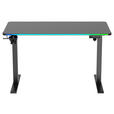 SCHREIBTISCH 120/60/70-115 cm Schwarz elektrisch höhenverstellbar  - Schwarz, Design, Holzwerkstoff/Kunststoff (120/60/70-115cm) - Novel
