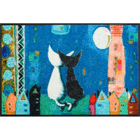DVEŘNÍ ROHOŽKA, 50/75 cm, vícebarevná - vícebarevná, Trend, textil/plast (50/75cm) - Esposa