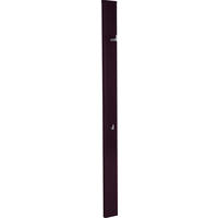 GARDEROBENPANEEL  in 15/218,3/13,2 cm  - Aubergine, Konventionell, Holzwerkstoff (15/218,3/13,2cm) - Invivus