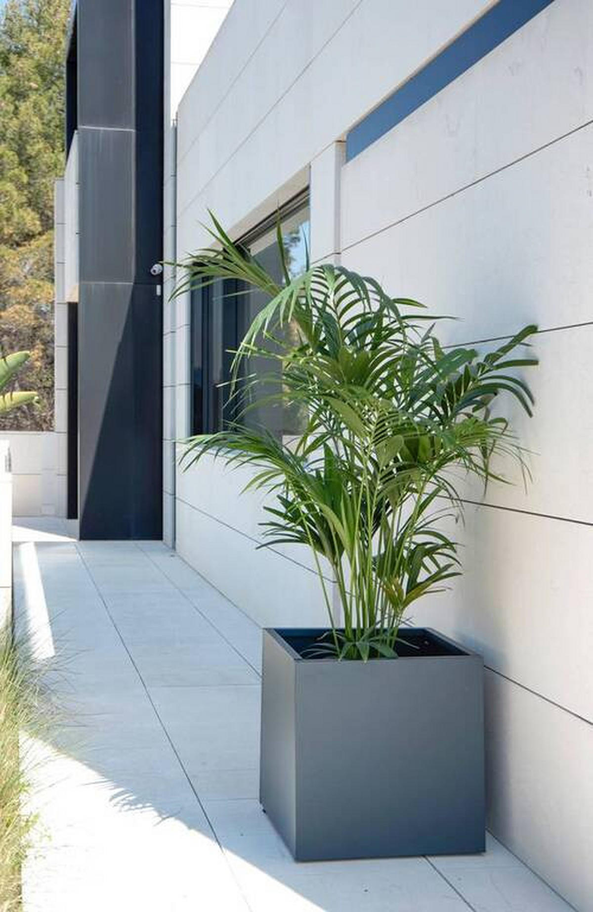 PFLANZENTOPF 50/50/50 cm Anthrazit  - Anthrazit, Basics, Metall (50/50/50cm)