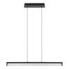 KRISTALL-HÄNGELEUCHTE 100/8/110 cm   - Schwarz, Trend, Glas/Metall (100/8/110cm)