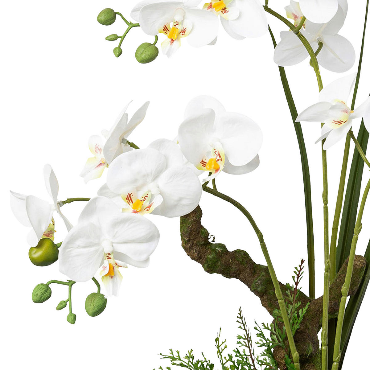 KUNSTPFLANZE Orchidee 46 cm  - Weiß/Grün, Design, Keramik/Kunststoff (46cm)