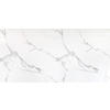ZIDNI PANEL   - bijela, Moderno, plastika (122/260/0,28cm)