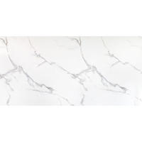 ZIDNI PANEL   - bijela, Moderno, plastika (122/260/0,28cm)