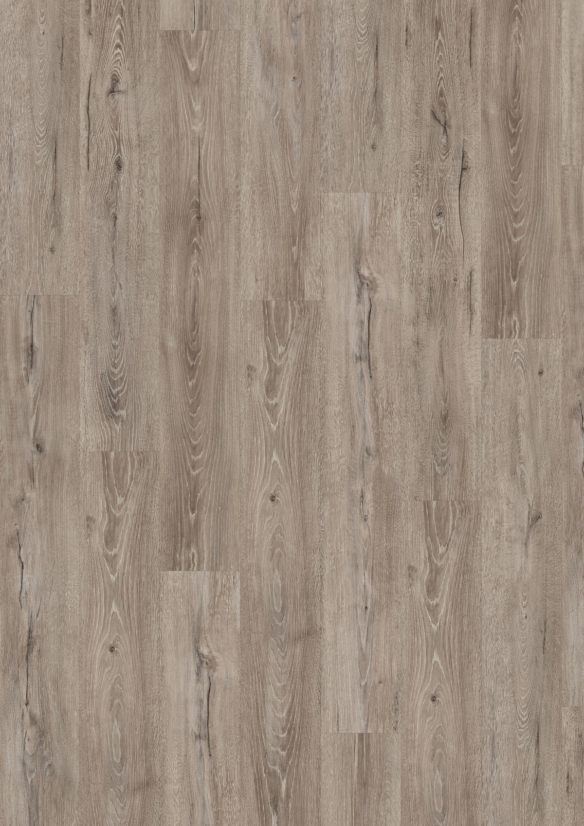 DESIGNBODEN Panora Eiche grau EGGER Aquadura  per  m² - Eichefarben/Grau, KONVENTIONELL, Holzwerkstoff (129.2/19.3/0.75cm) - Egger Holzwerkstoffe