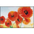 FUßMATTE 75/120 cm Blume Rot - Rot, Kunststoff/Textil (75/120cm) - Esposa FUßMATTE 75/120 cm Blume Rot - Rot, Kunststoff/Textil (75/120cm) - Esposa