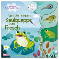 BUCH Von der kleinen Kaulquappe zum Frosch  - Multicolor, Basics, Papier (22/22/1,2cm) - Carlsen