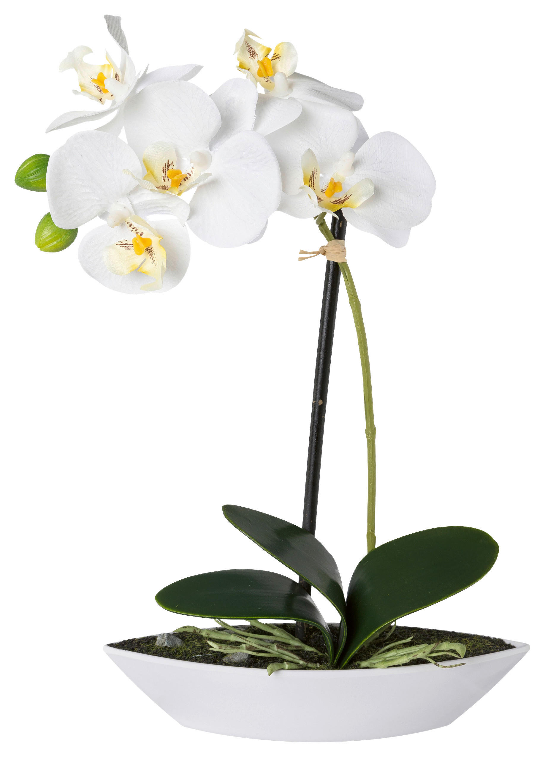KUNSTPFLANZE Orchidee 30 cm  - Weiß/Grün, Design, Keramik/Kunststoff (30cm)