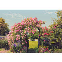 FOTOTAPETE Rose Garden  - Multicolor, Natur, Papier (368/254cm) - Komar