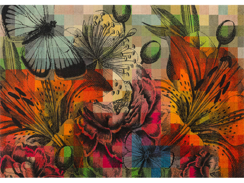 COVOR Magic Garden  - multicolor, Konventionell, plastic/textil (170/240cm) - wash+dry
