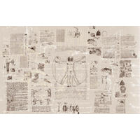 NON WOVEN-TAPET 400/250 cm  - beige/svart, Basics (400/250cm) - Komar