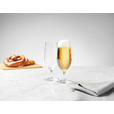 BIERTULPE Celebration 370 ml  - Klar, Basics, Glas (380ml) - Novel