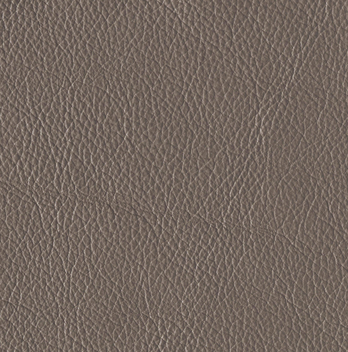 Ecksofa inkl. Funktion DUA Grau Echtleder  - Chromfarben/Grau, Design, Leder/Metall (170/293cm) - Novel