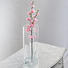 VASE - Klar, Basics, Glas (11/30cm) - LEONARDO