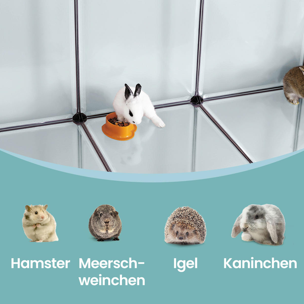 HEIMTIERGEHEGE - Transparent/Schwarz, Trend, Kunststoff/Metall (143/92/108cm) - Boxxx