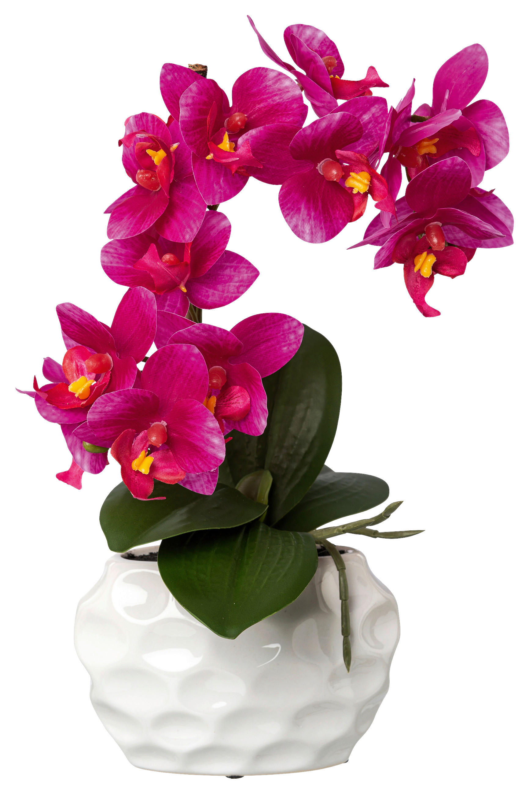 KUNSTPFLANZE Orchidee 33 cm  - Pink/Weiß, Design, Kunststoff (33cm) - P & B