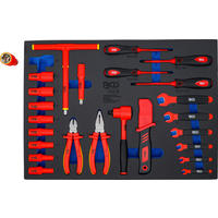 WERKSTATTWAGENEINLAGE  - Blau/Rot, Basics (56.7/40.8/3.2cm)