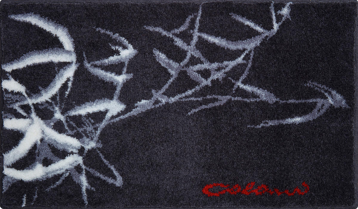 BADTEPPICH Colani 23 Anthrazit 60/100 cm  - Anthrazit, Basics, Kunststoff/Textil (60/100cm) - Grund