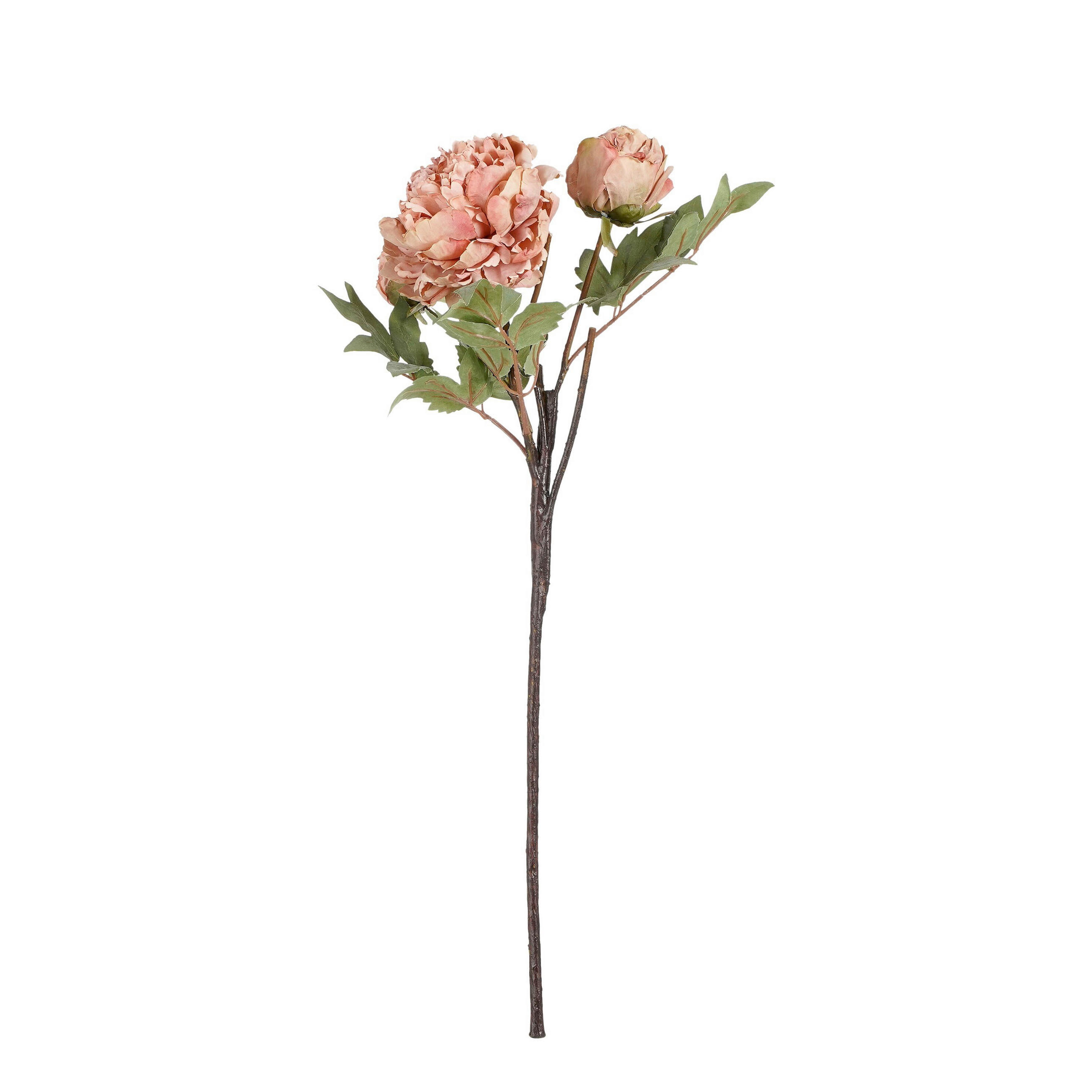 BOŽUR          65 cm    - bež, Osnovno, plastika (65cm)