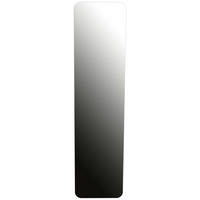 WANDSPIEGEL 30/120/0,3 cm    in Freiform  - KONVENTIONELL, Glas (30/120/0,3cm) - Carryhome