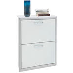 SCHUHSCHRANK Weiß, Alufarben  - Alufarben/Weiß, Design, Glas/Holzwerkstoff (63/89/35cm) - Dieter Knoll