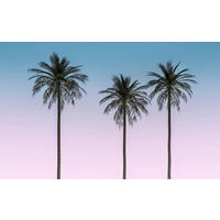 NON WOVEN-TAPET 400/250 cm  - multicolor, Basics (400/250cm) - Komar