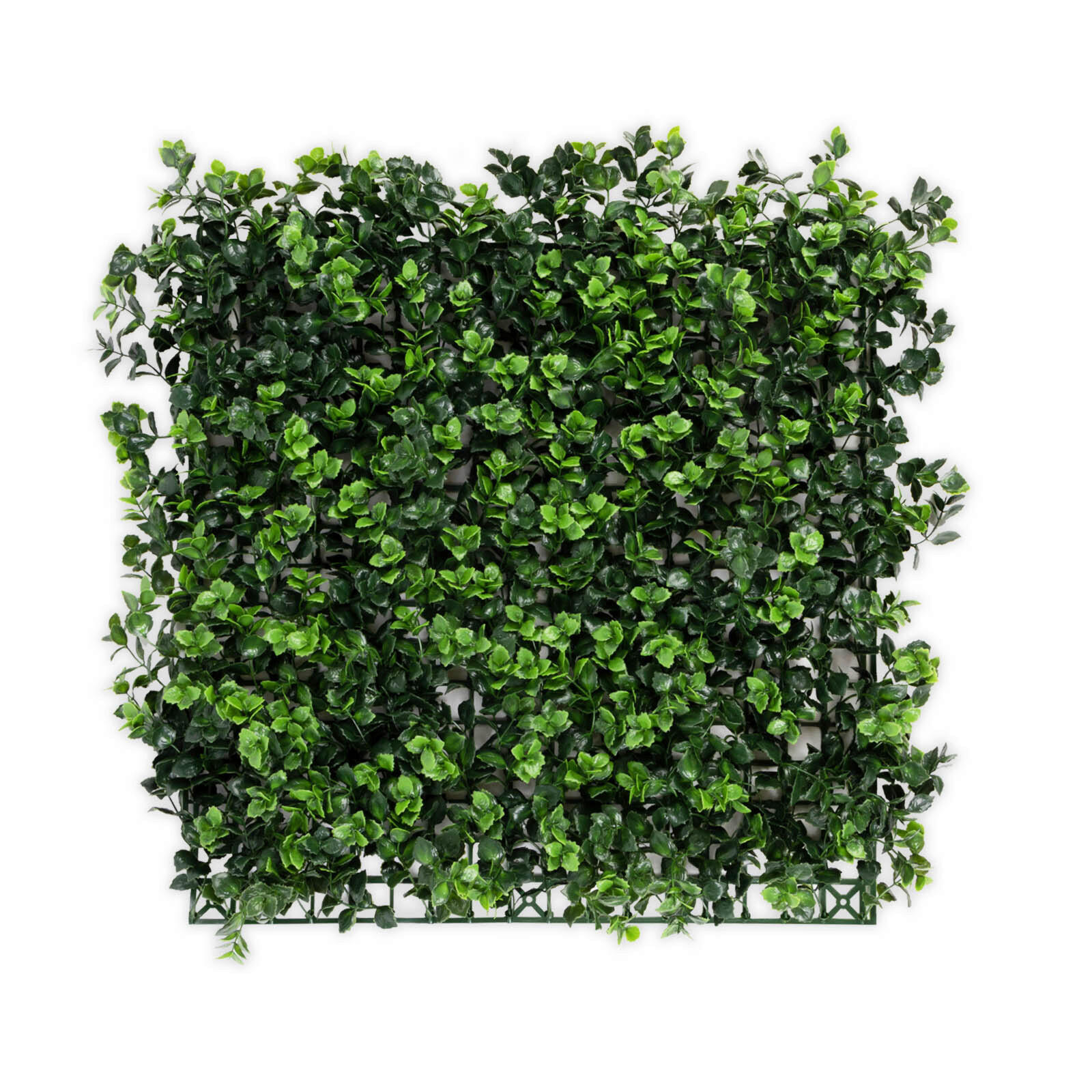 Wandverkleidung Pflanzenwand  Kunststoff  - Mintgrün, Trend, Kunststoff (50/50cm) - Floordirekt