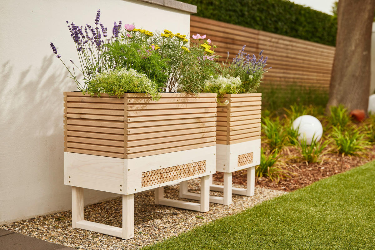 BLUMENKASTEN  - Kieferfarben, Basics, Holz/Kunststoff (33/54/33cm) - Siena Garden