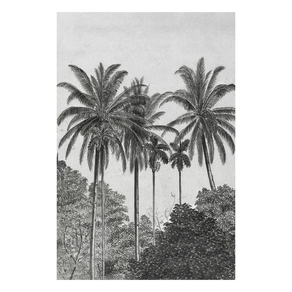 FOTOTAPETE  - Schwarz/Weiß, Basics, Papier/Kunststoff (200/280cm)